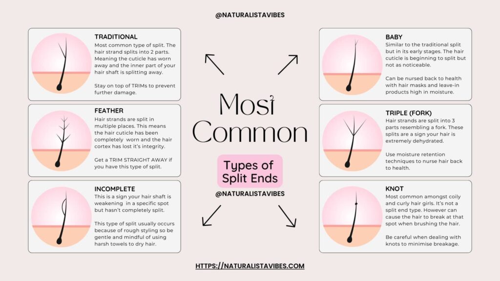 Split End Chart