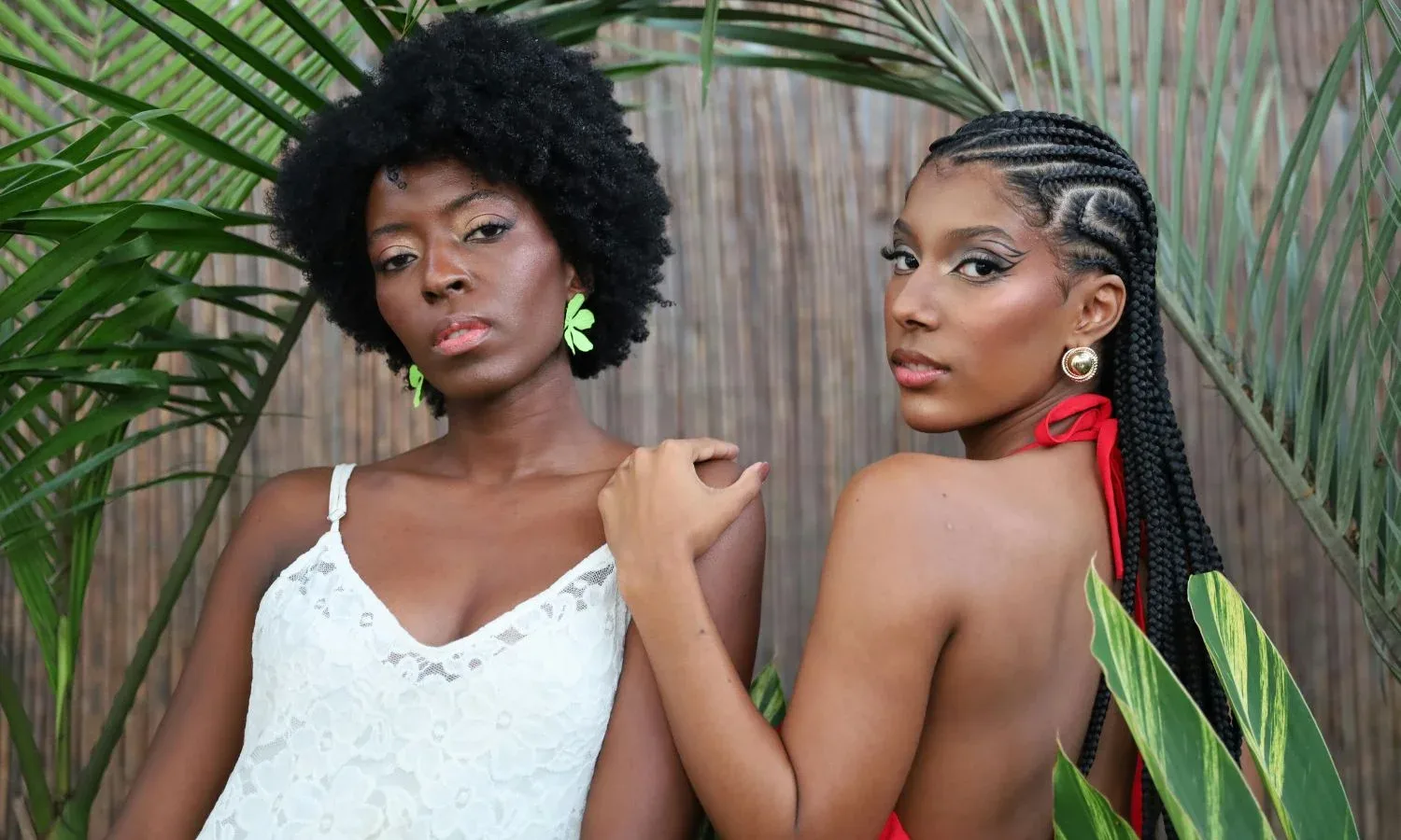Woman with natural afro beside woman wearing cornrows, showing low-manipulation hairstyles for a 4C hair routine